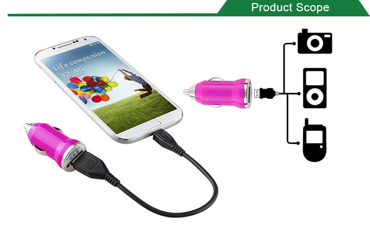 Free sample cheap customized Logo 5v 1a dual usb port car charger